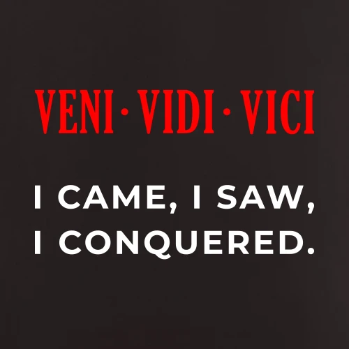 Veni Vidi Vici I Came I Saw I Conquered T-Shirt