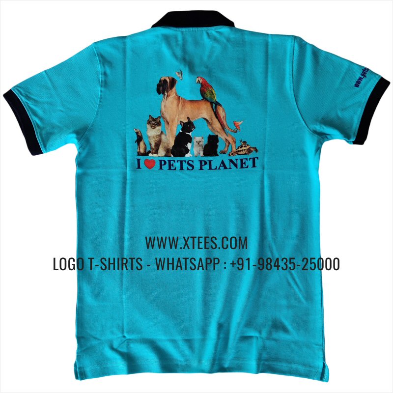 Dual Color Collar Polo T-Shirt | 100% Cotton | 240 GSM Thick Pique Airtex Fabric | Aqua Blue | Logo Embroidery