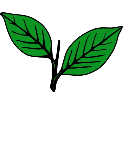 Anna Dravida Munnetra Kazhagam Admk Logo 1