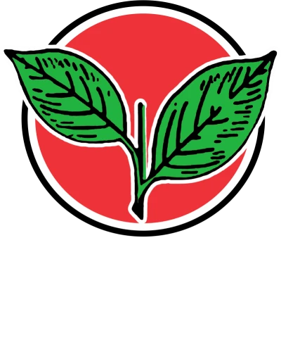 Anna Dravida Munnetra Kazhagam Admk Logo 2