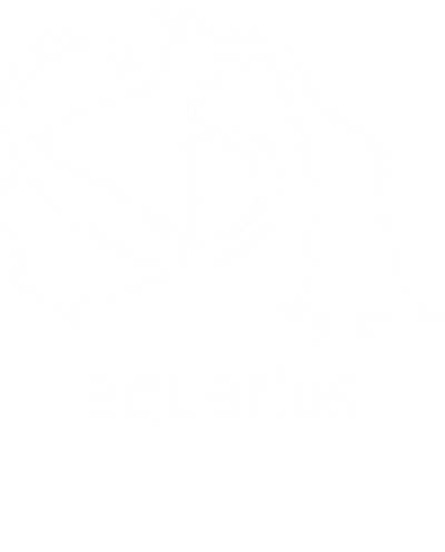 Aquarius Minimalist Zodiac Sign