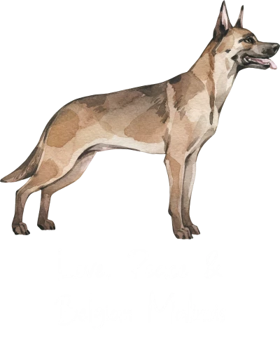 Belgian Malinois Dog Printed