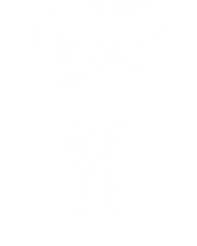Bullet Nah Biker