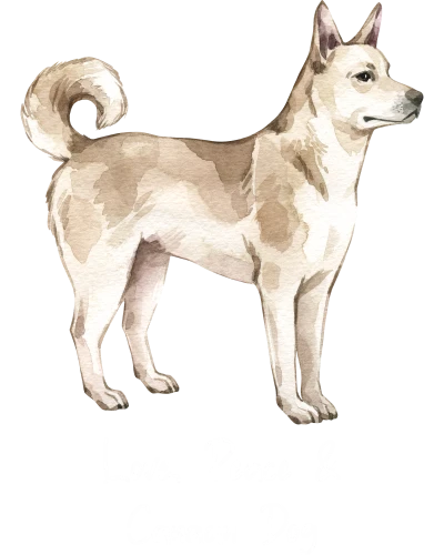 Canaan Dog Dog Printed