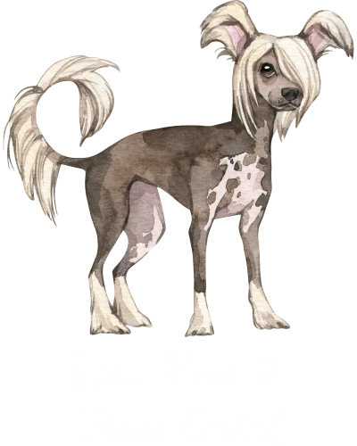 Chinese Crested Dog Printed