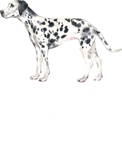 Dalmatian Dog Printed