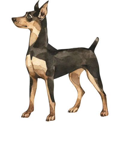Doberman Pinscher Dog Printed
