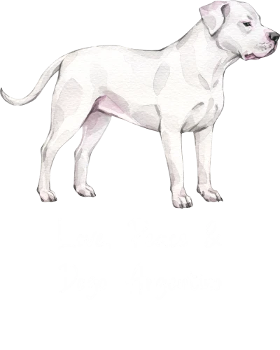 Dogo Argentino Dog Printed