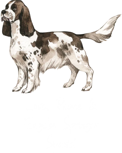 Engelse Springer Spaniel Dog Printed