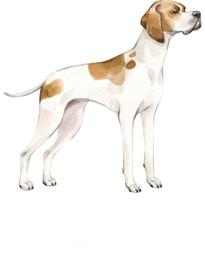 English Pointer Dog Printed