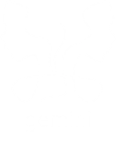 Gemini Minimalist Zodiac Sign