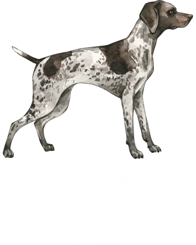 German Shorthaired Pointer Dog Printed