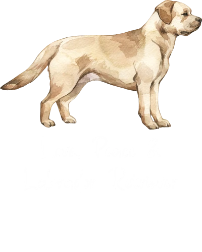Labrador Retriever Dog Printed