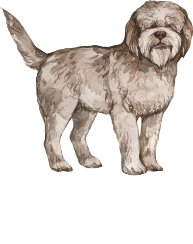 Lagotto Romagnolo Dog Printed