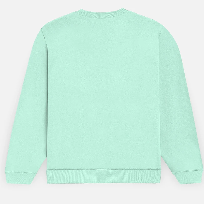 Mint Plain Sweatshirt product image