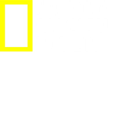 National Sarcasm Society Insulting Slogan