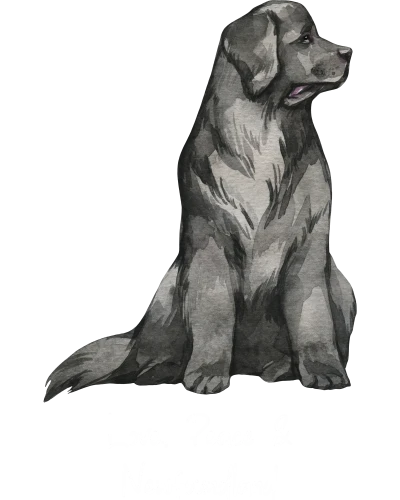 Newfoundland Dog Printed