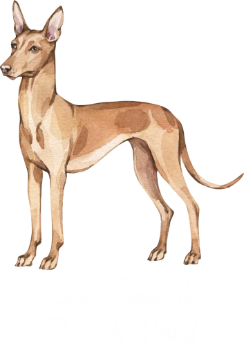 Pharaoh Hound Dog Printed