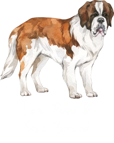 Saint Bernard Dog Printed