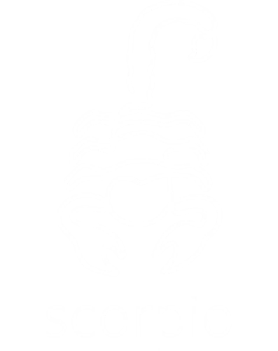Scorpio Minimalist Zodiac Sign