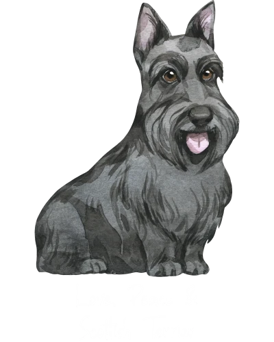 Scottish Terrier Dog Printed