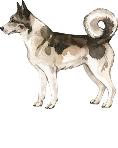 Siberian Laika Dog Printed