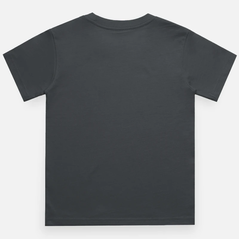 Steel Grey Round Neck T-shirt product image