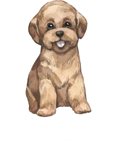Toy Poodle Dog Printed