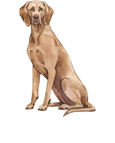 Vizsla Dog Printed