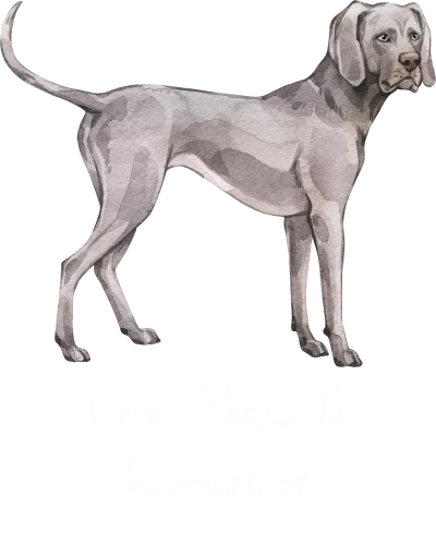 Weimaraner Dog Printed