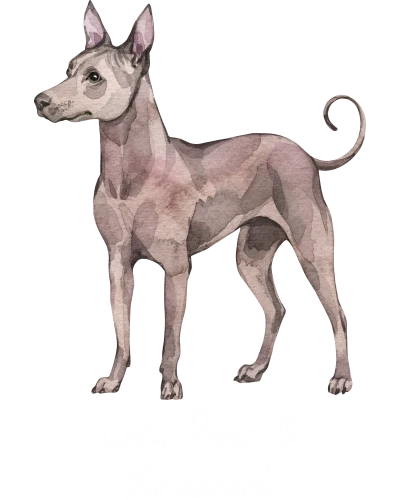 Xoloitzcuintli Dog Printed
