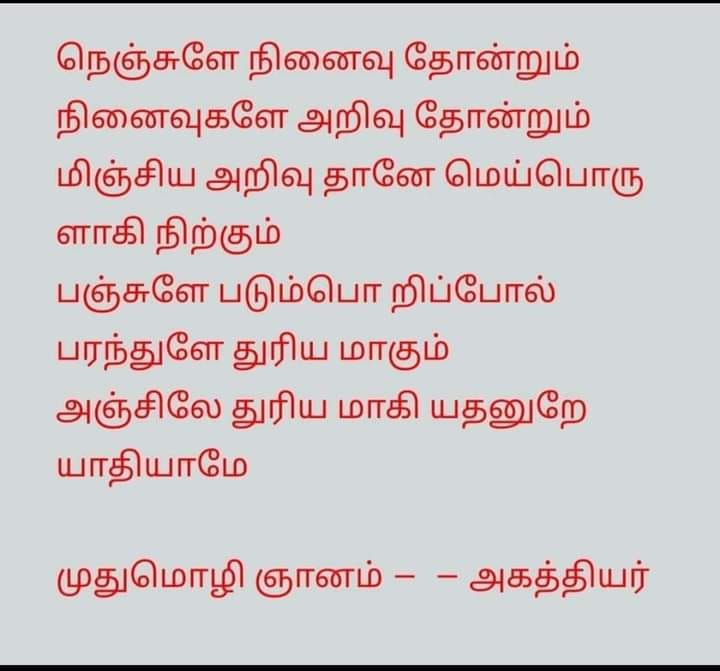 st-patricks-alumni-reunion-logo-collar-polo-t-shirt