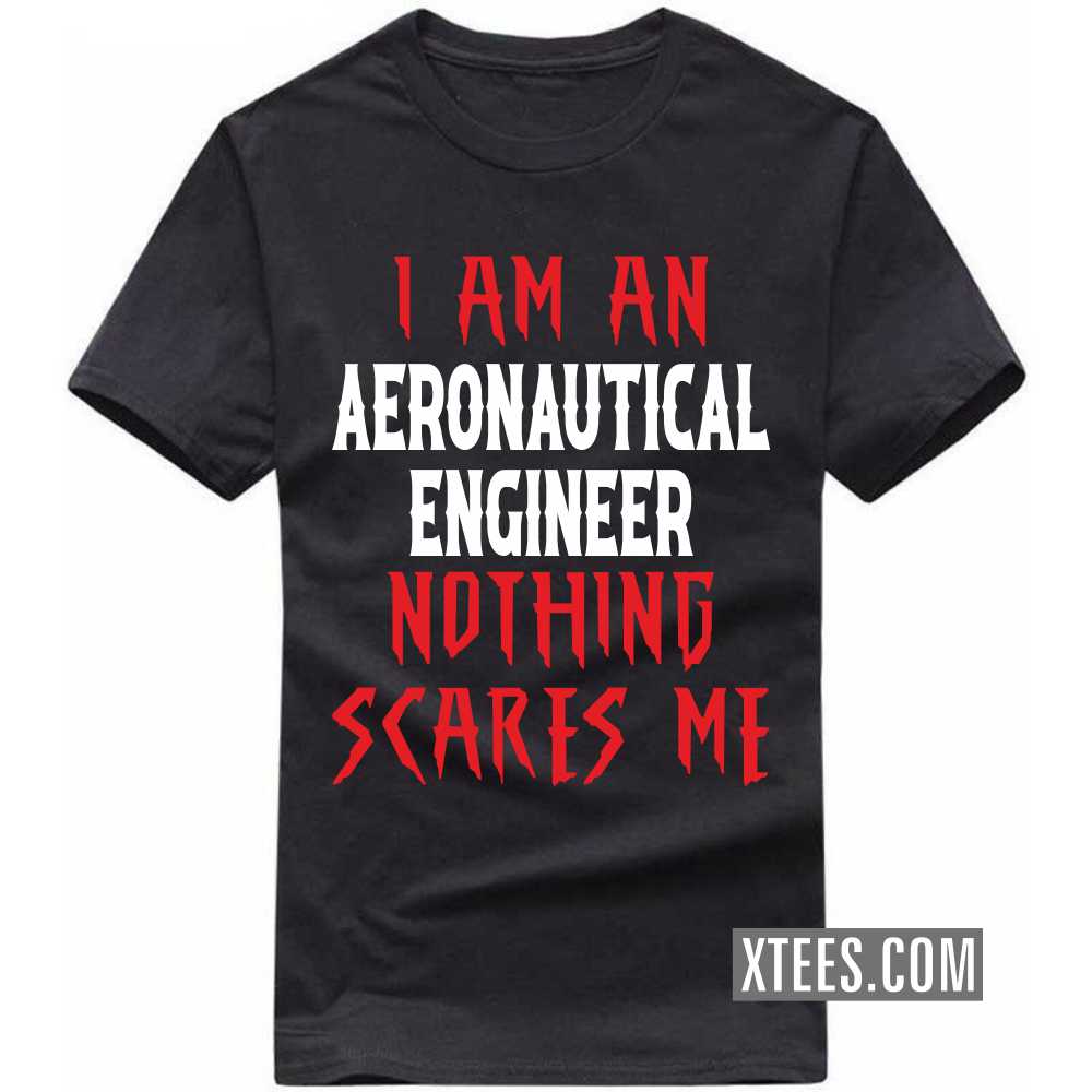 I Am A AERONAUTICAL ENGINEER Nothing Scares Me Profession T-shirt image