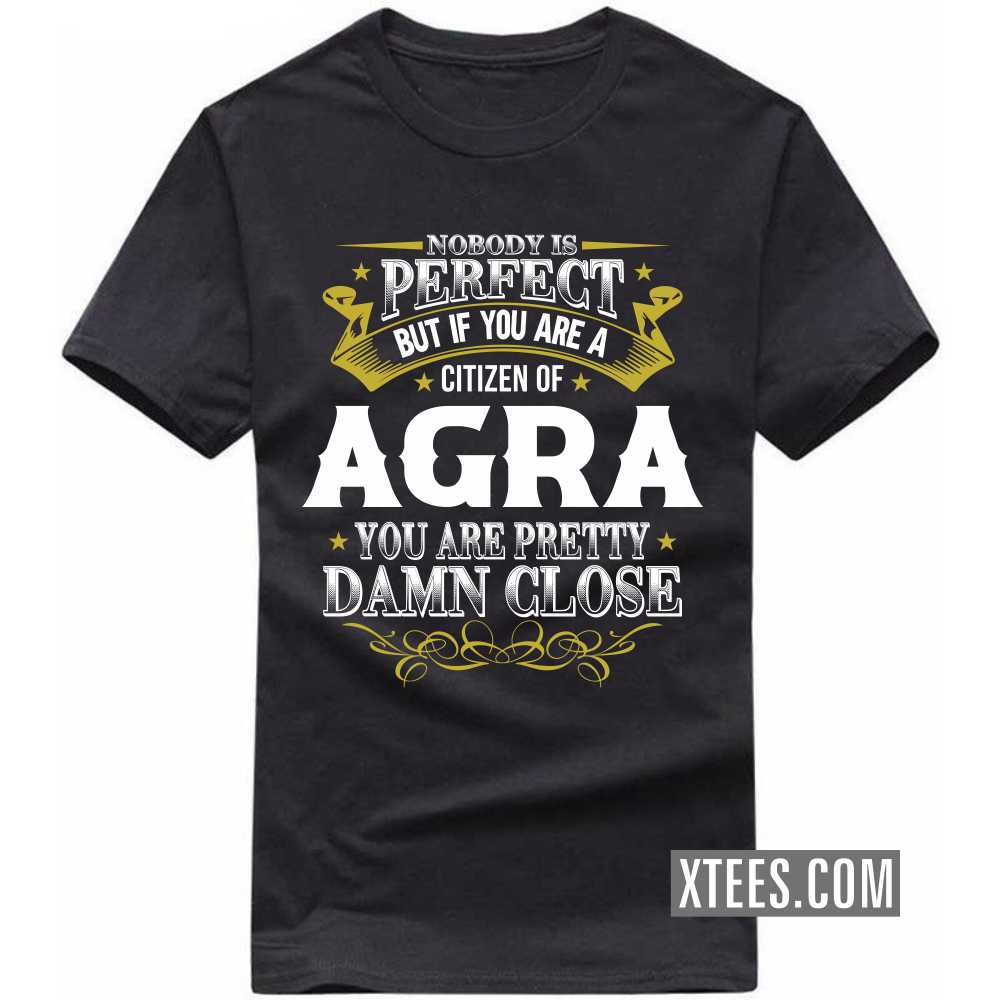Nobody Is Perfect But If You Are A Citizen Of Agra You Are Pretty Damn Close India City T-shirt image