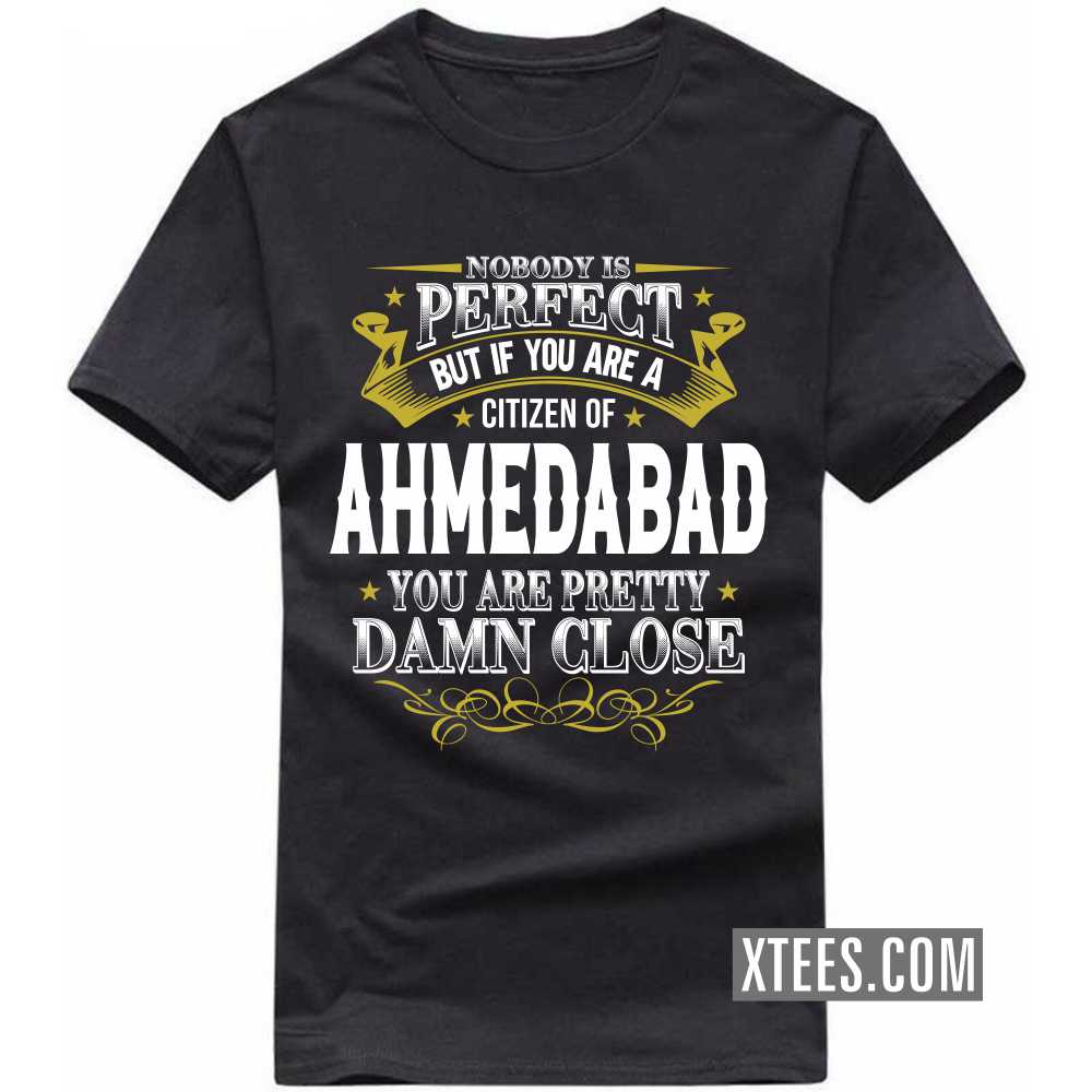 Nobody Is Perfect But If You Are A Citizen Of Ahmedabad You Are Pretty Damn Close India City T-shirt image