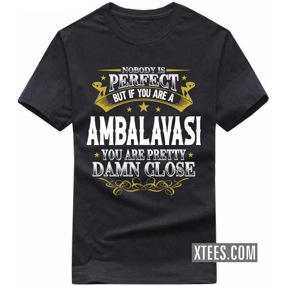 Nobody Is Perfect But If You Are A AMBALAVASI You Are Pretty Damn Close Caste Name T-shirt image