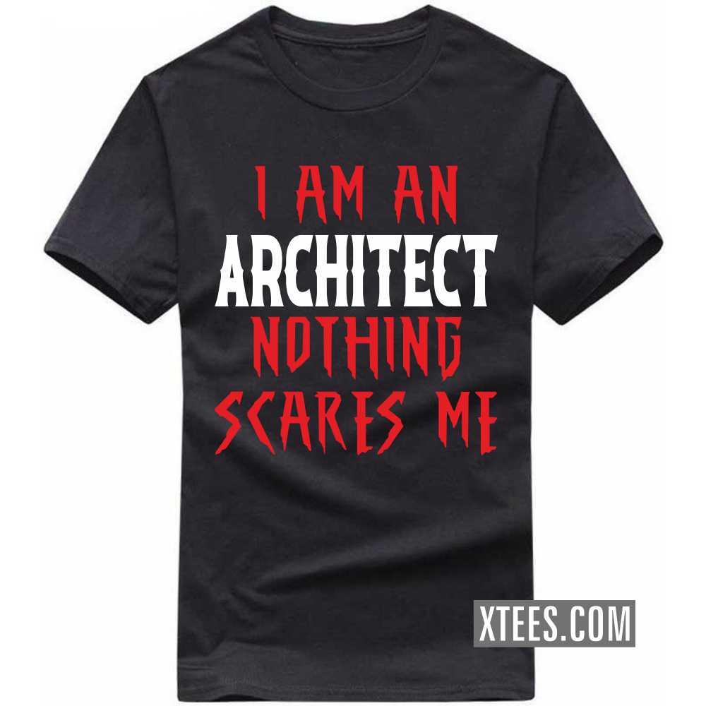 I Am A ARCHITECT Nothing Scares Me Profession T-shirt image