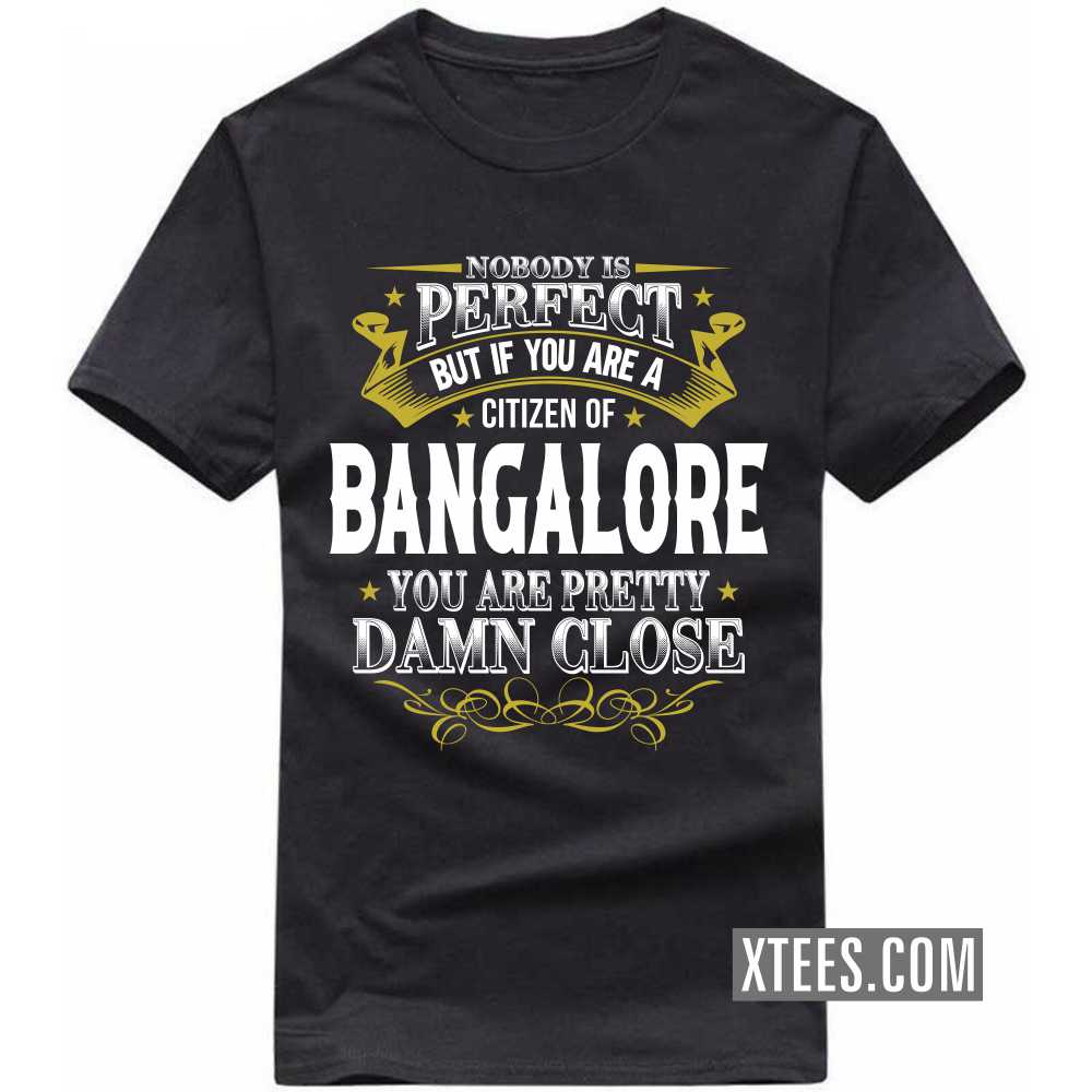 Nobody Is Perfect But If You Are A Citizen Of BANGALORE You Are Pretty Damn Close India City T-shirt image
