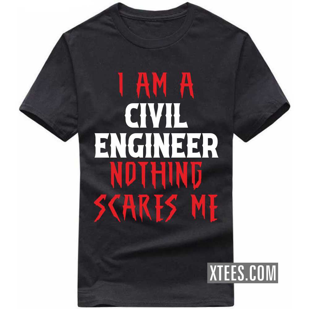 I Am A CIVIL ENGINEER Nothing Scares Me Profession T-shirt image