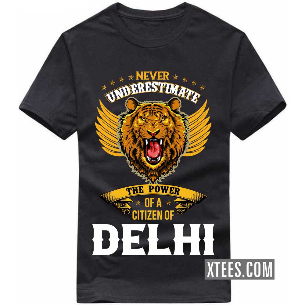 Never Underestimate The Power Of A Citizen Of DELHI India City T-shirt image