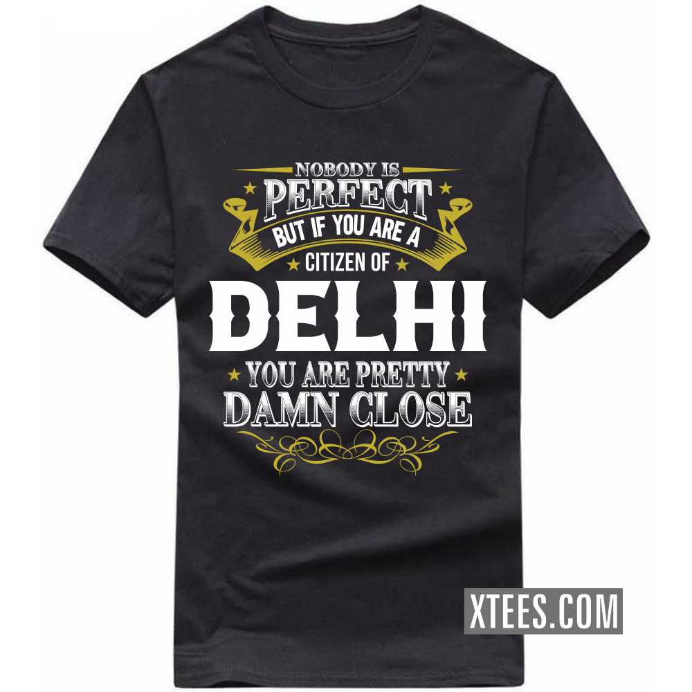 Nobody Is Perfect But If You Are A Citizen Of DELHI You Are Pretty Damn Close India City T-shirt image