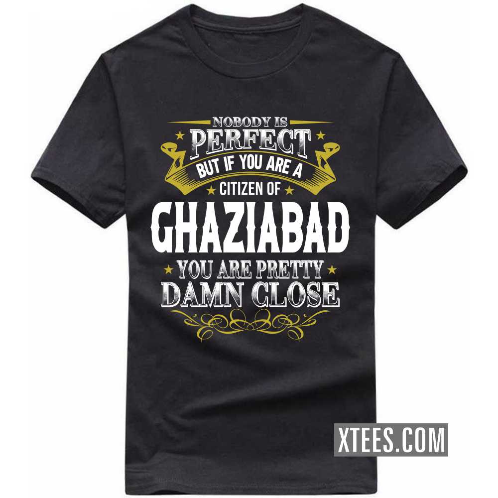 Nobody Is Perfect But If You Are A Citizen Of GHAZIABAD You Are Pretty Damn Close India City T-shirt image