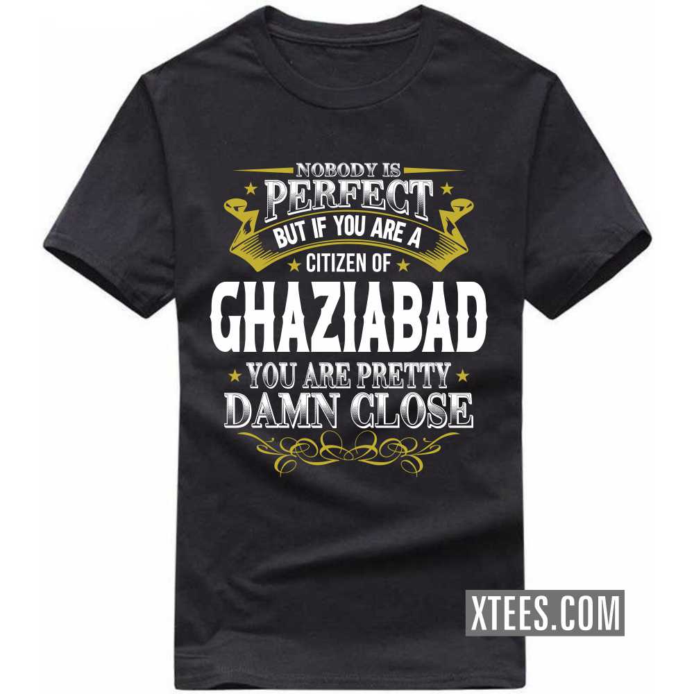 Nobody Is Perfect But If You Are A Citizen Of GHAZIABAD You Are Pretty Damn Close India City T-shirt image