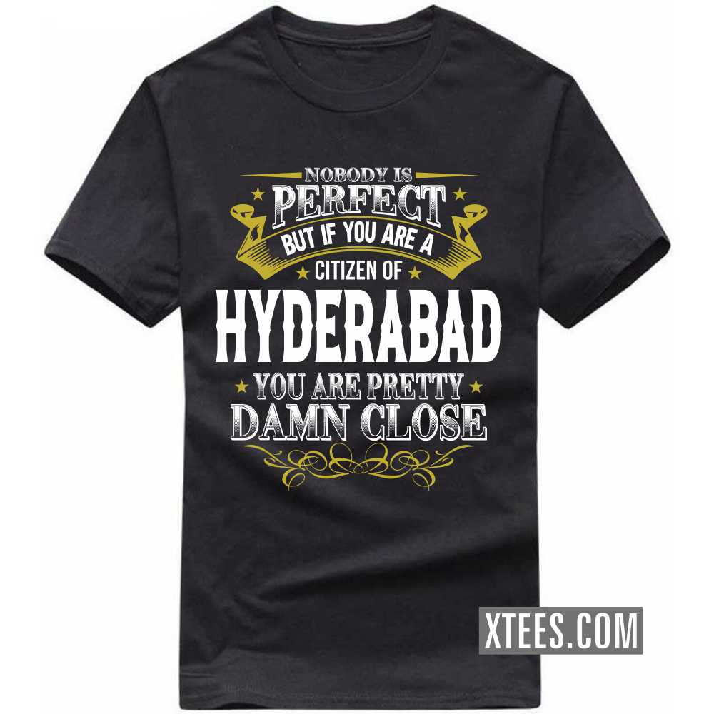 Nobody Is Perfect But If You Are A Citizen Of HYDERABAD You Are Pretty Damn Close India City T-shirt image