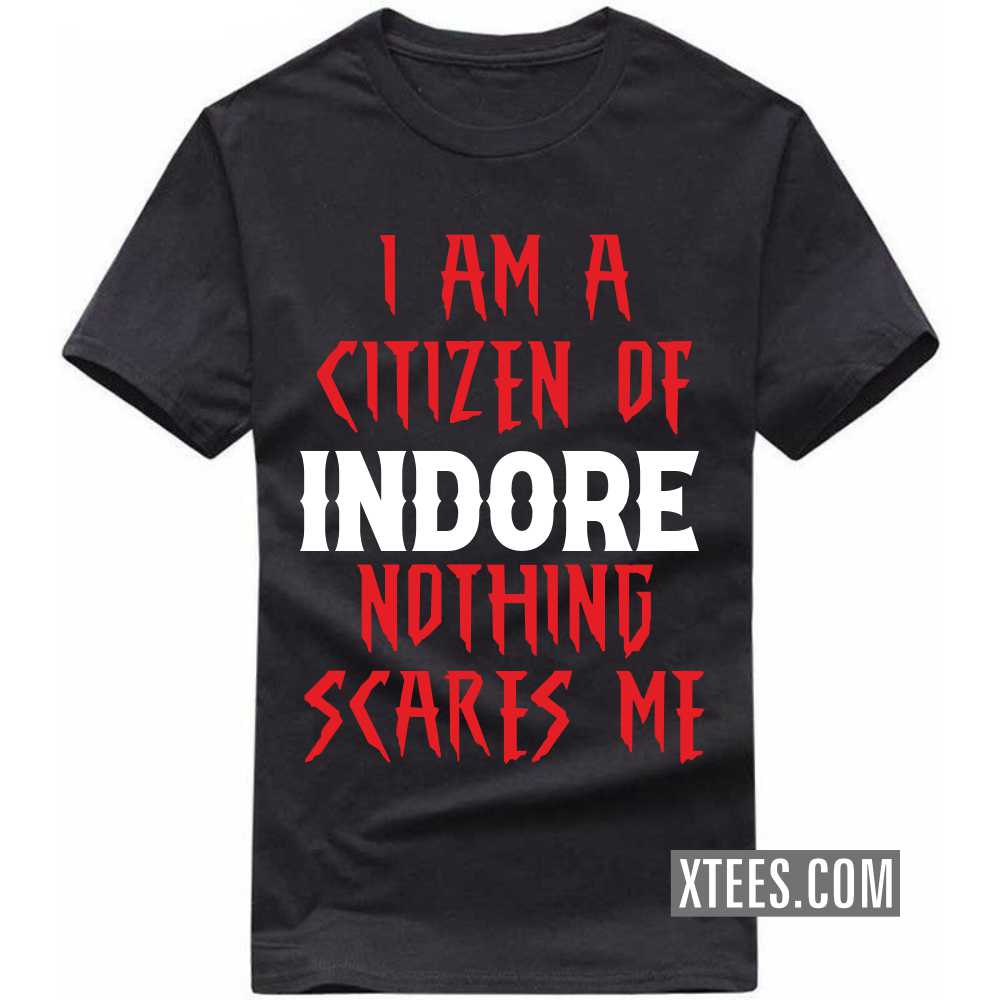 I Am A Citizen Of INDORE Nothing Scares Me India City T-shirt image