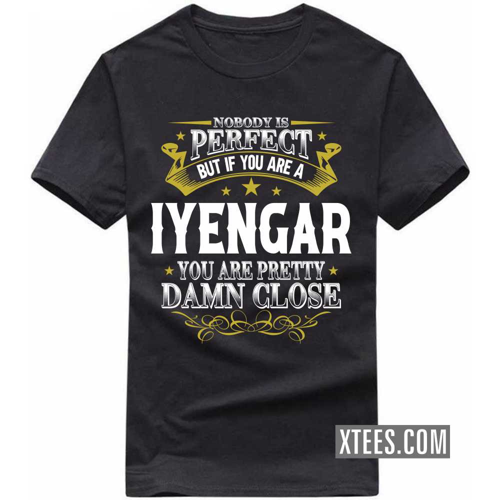 Nobody Is Perfect But If You Are A Iyengar You Are Pretty Damn Close Caste Name T-shirt image