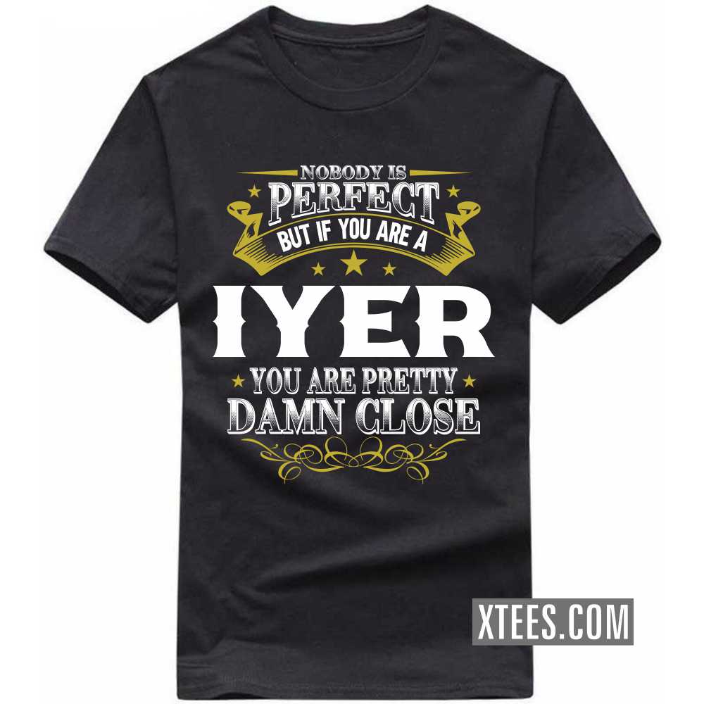 Nobody Is Perfect But If You Are A Iyer You Are Pretty Damn Close Caste Name T-shirt image