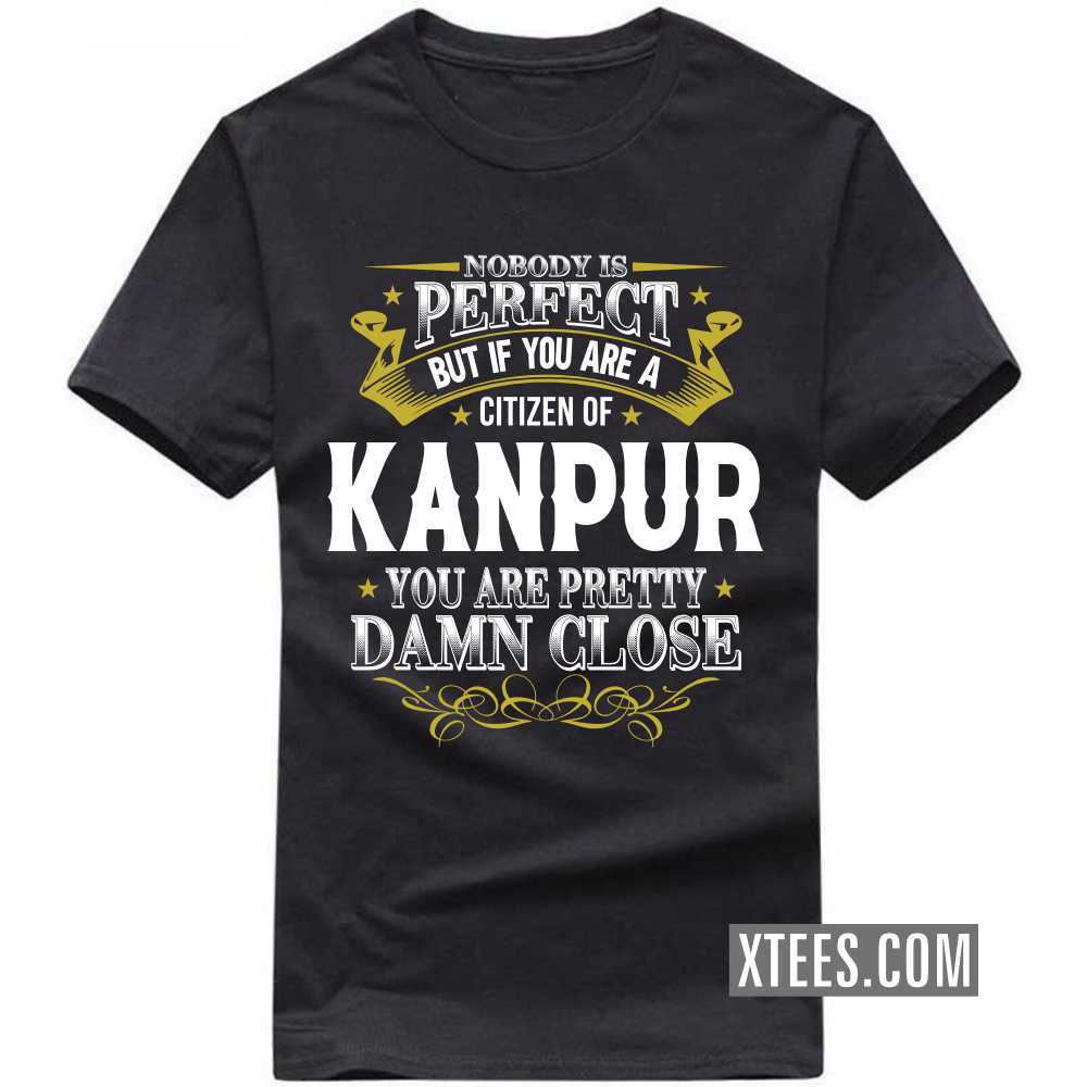 Nobody Is Perfect But If You Are A Citizen Of KANPUR You Are Pretty Damn Close India City T-shirt image