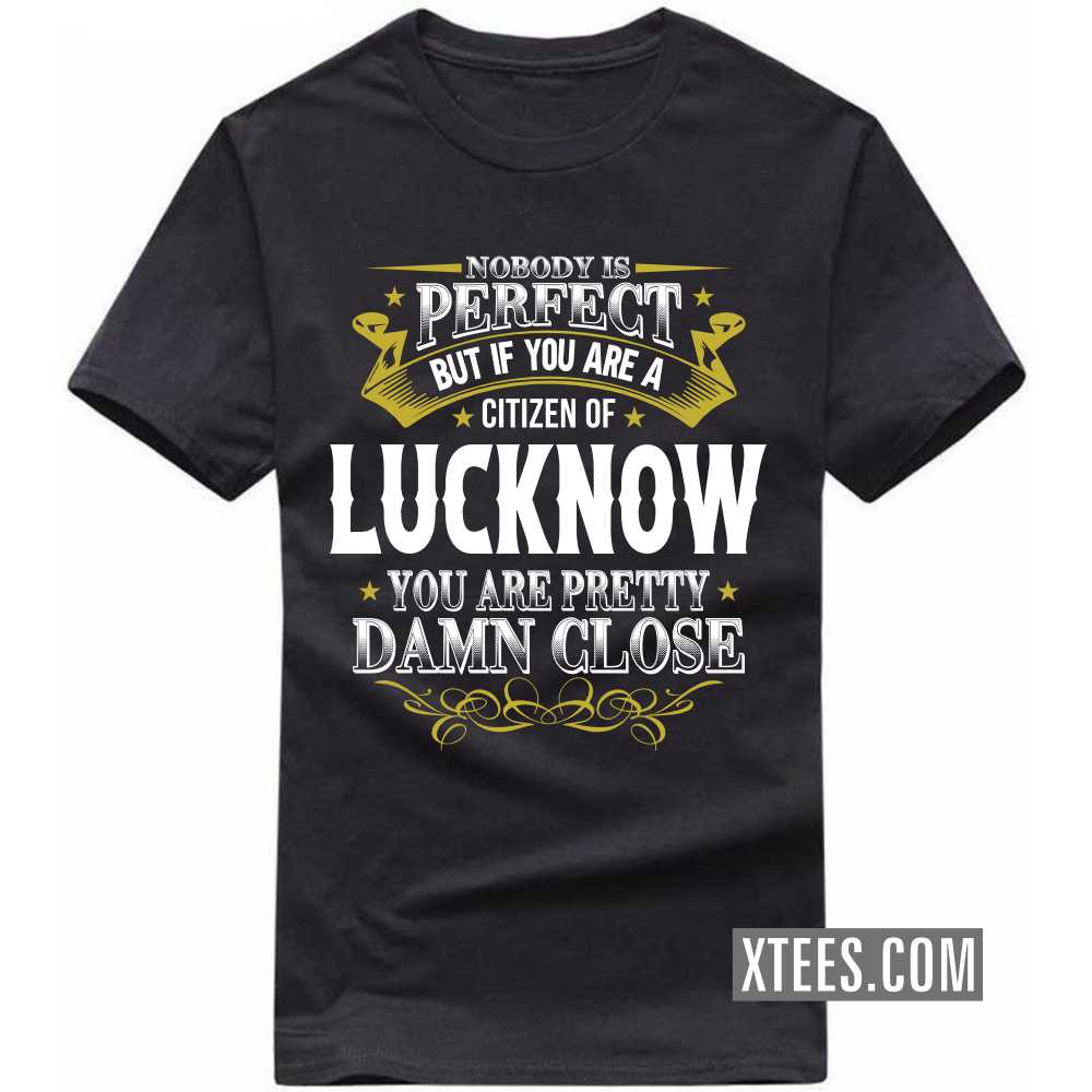 Nobody Is Perfect But If You Are A Citizen Of LUCKNOW You Are Pretty Damn Close India City T-shirt image