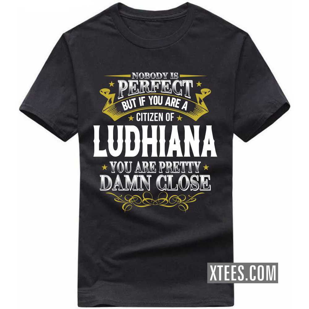 Nobody Is Perfect But If You Are A Citizen Of LUDHIANA You Are Pretty Damn Close India City T-shirt image